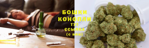 гашик Покров