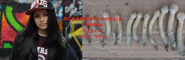 амф Гусиноозёрск