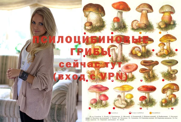 дмт Покачи