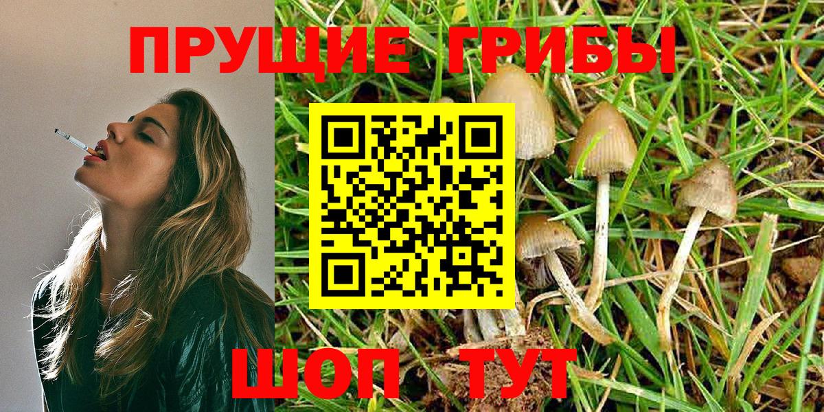 Галлюциногенные грибы Cubensis  Вход с VPN  Псилоцибиновые грибы Cubensis  Азнакаево 