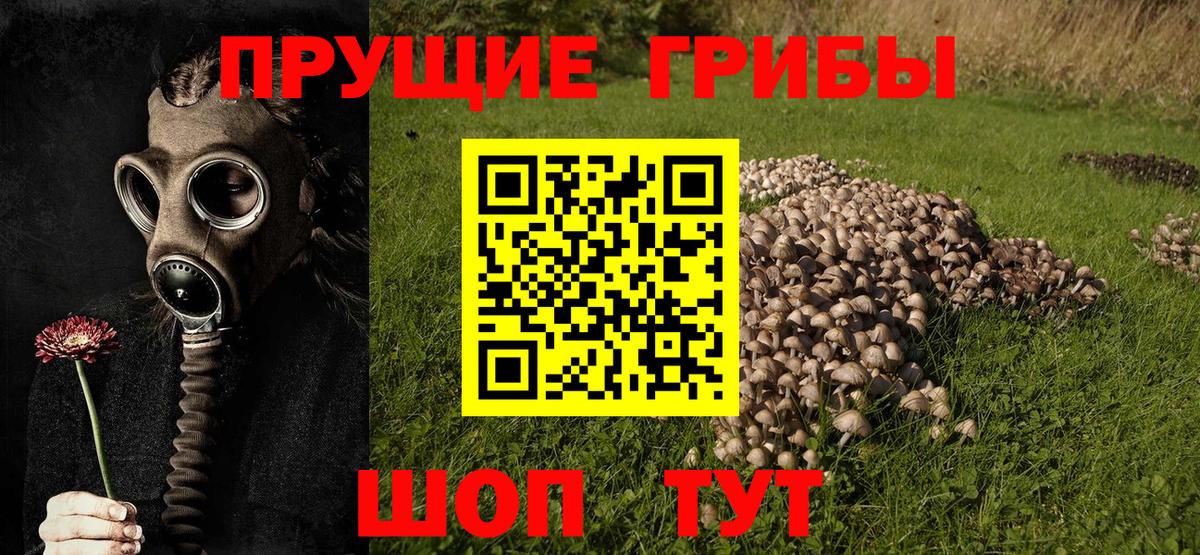 Псилоцибиновые грибы прущие грибы Азнакаево
